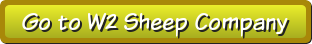 W2 Sheep Button