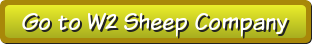W2 Sheep Button W2 Sheep Button