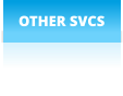 OTHER SVCS